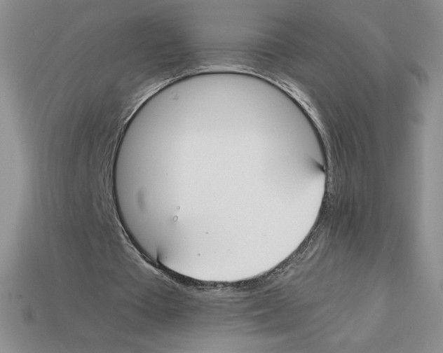 X0000112900385200910021439