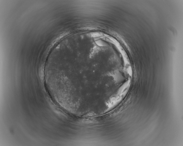 X0000112900386200910021439
