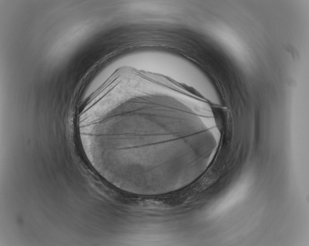 X0000112900387200910021439