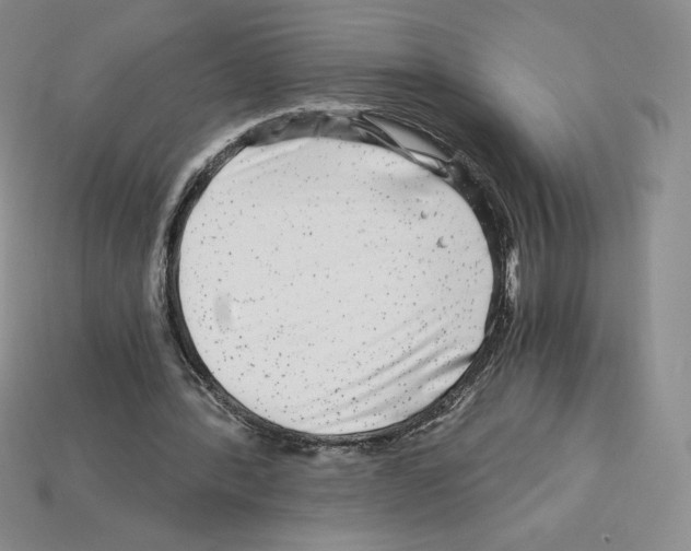 X0000112900388200910021439