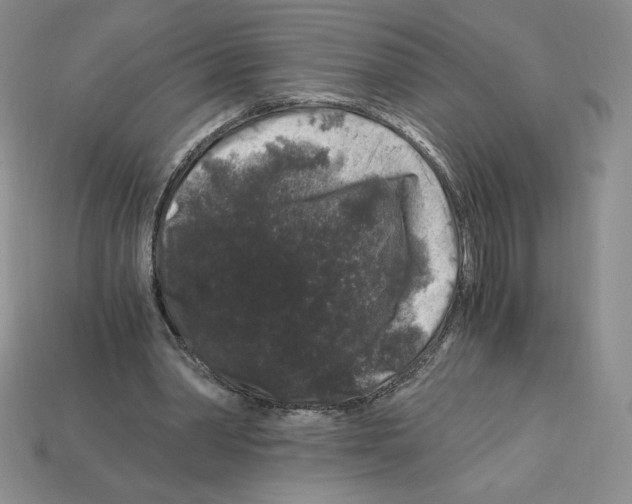 X0000112900390200910021439