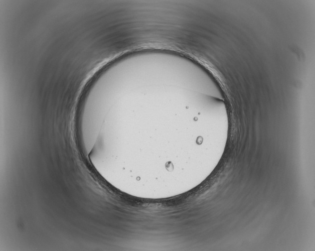 X0000112900391200910021439