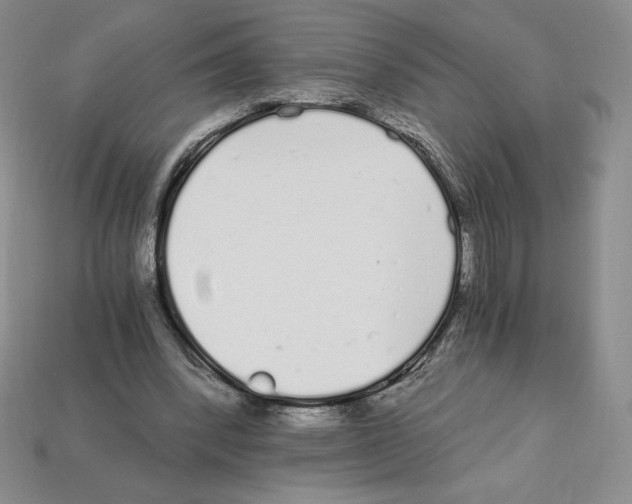 X0000112900392200910021439