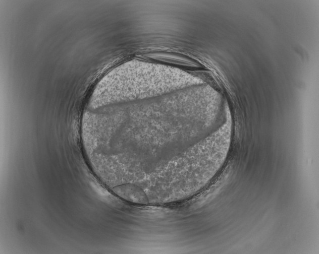 X0000112900393200910021439