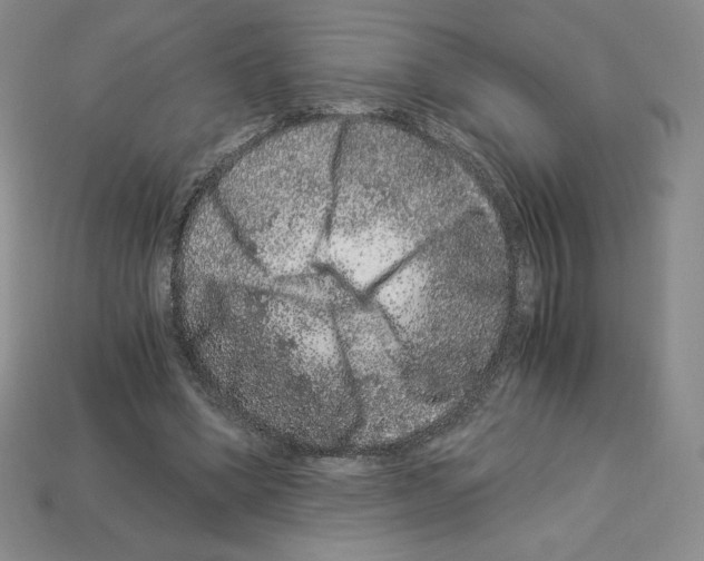 X0000112900394200910021439