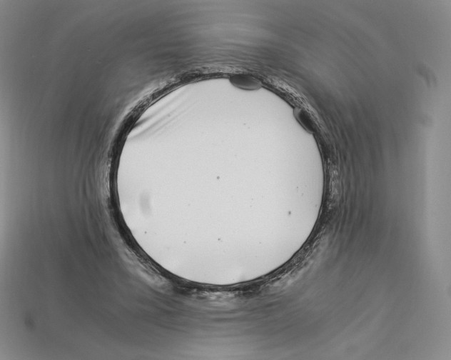 X0000112900395200910021439
