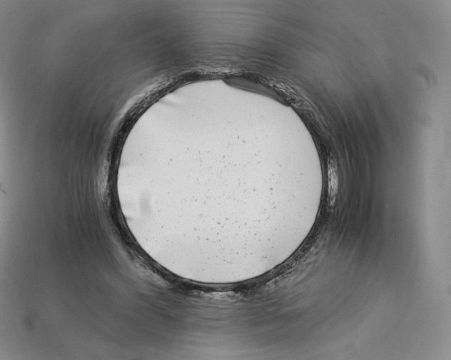 X0000112900396200910021439