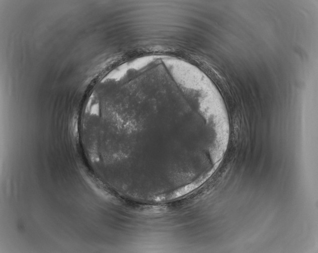 X0000112900398200910021439