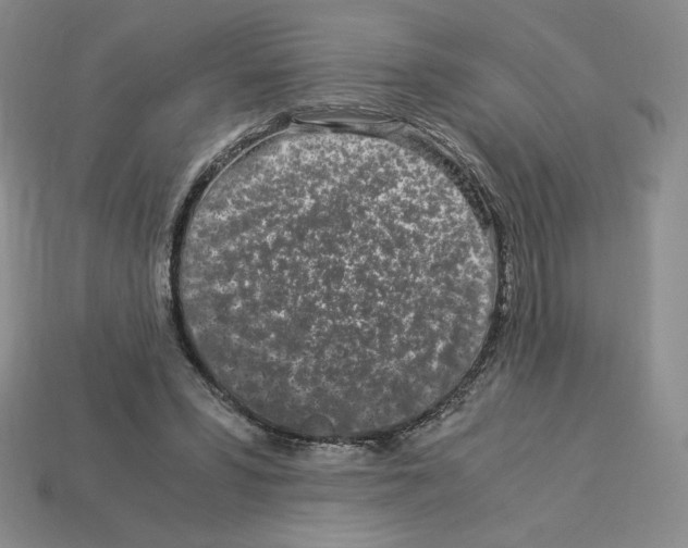 X0000112900399200910021439