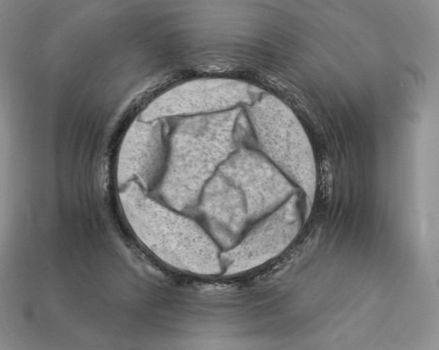 X0000112900400200910021439