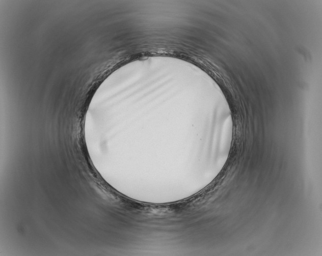 X0000112900401200910021439