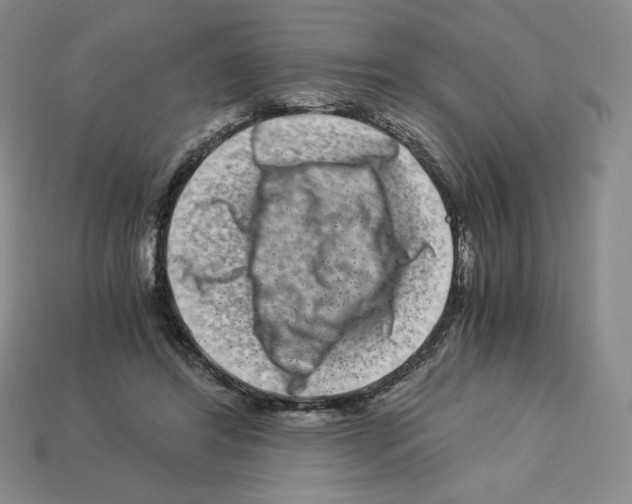 X0000112900404200910021439