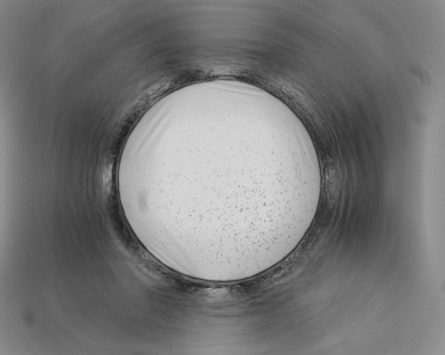X0000112900406200910021439