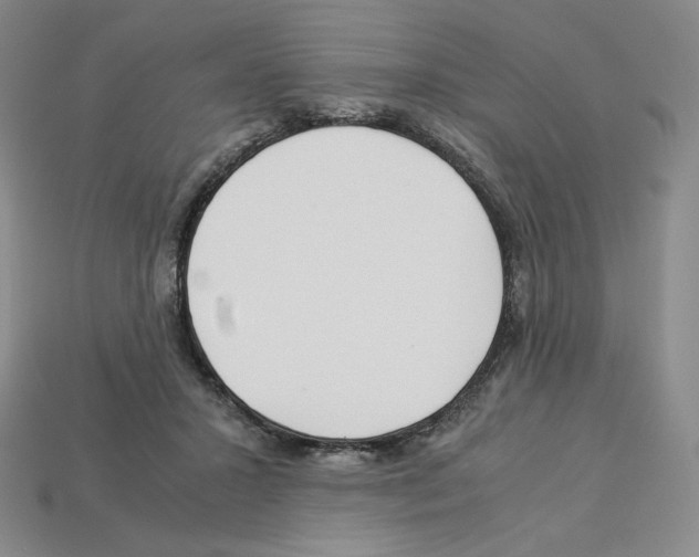 X0000112900407200910021439