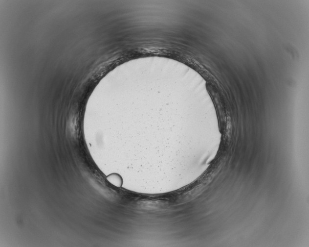 X0000112900408200910021439
