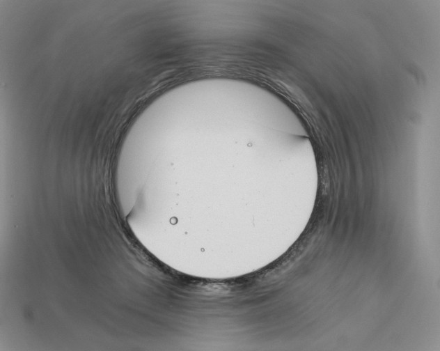 X0000112900409200910021439