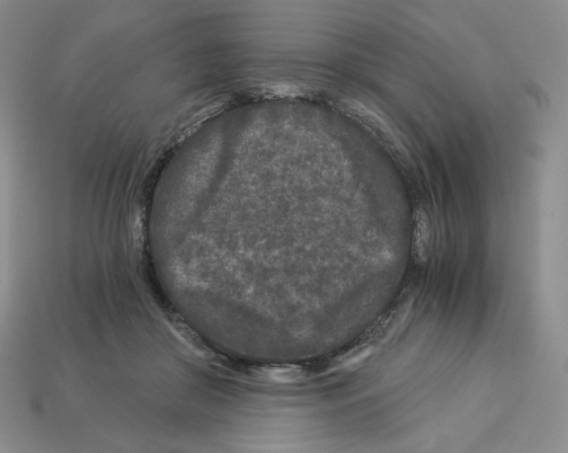 X0000112900410200910021439