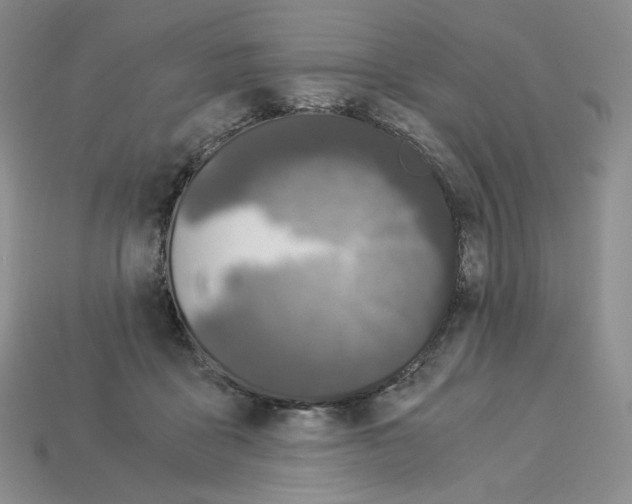 X0000112900411200910021438