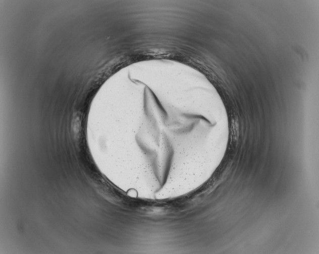 X0000112900412200910021438