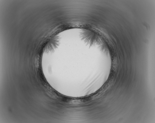 X0000112900413200910021438