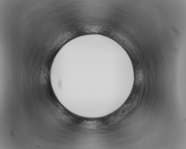 X0000112900414200910021438