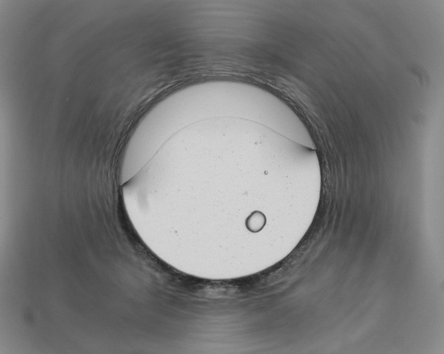X0000112900415200910021438