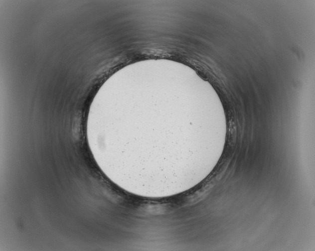 X0000112900416200910021438