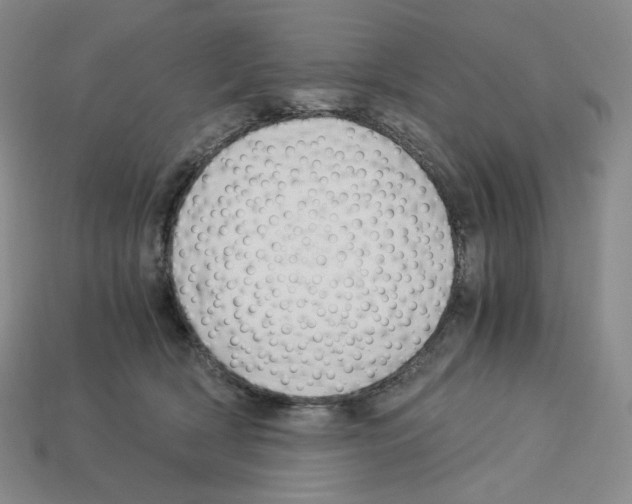 X0000112900418200910021438