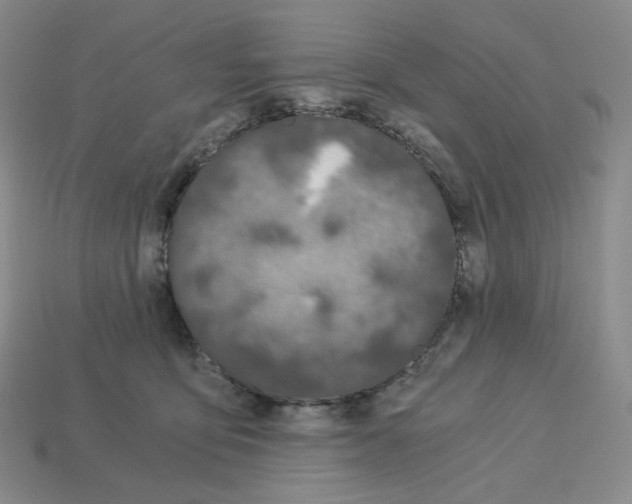 X0000112900419200910021438