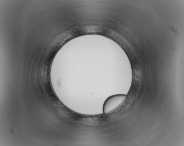 X0000112900422200910021438