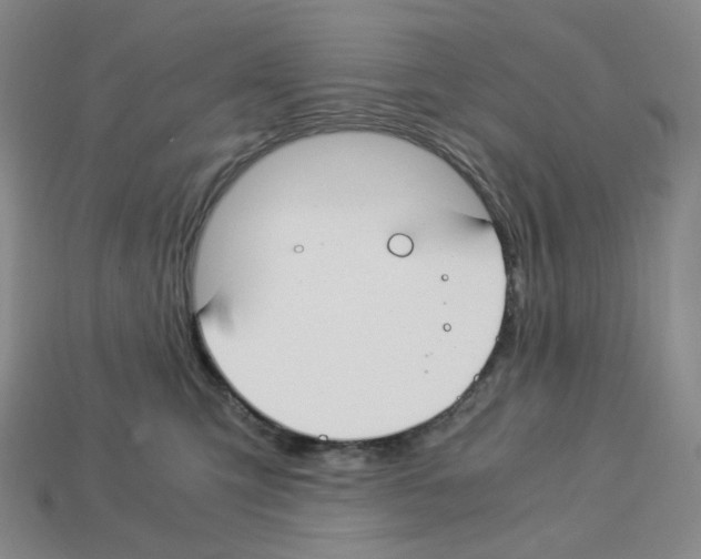 X0000112900423200910021438