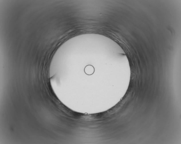 X0000112900425200910021438