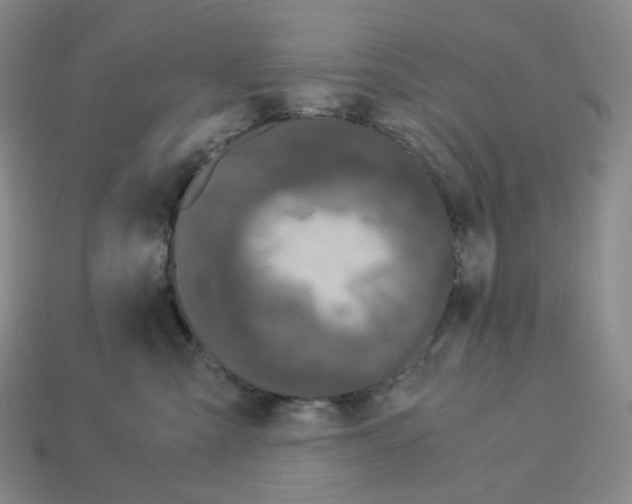 X0000112900427200910021438