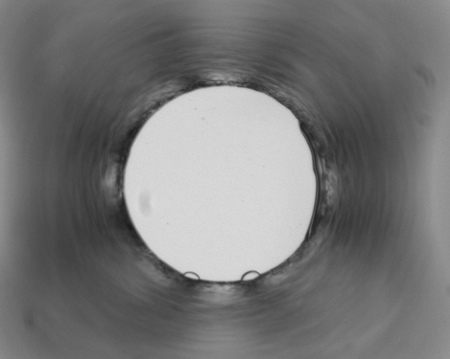 X0000112900428200910021438