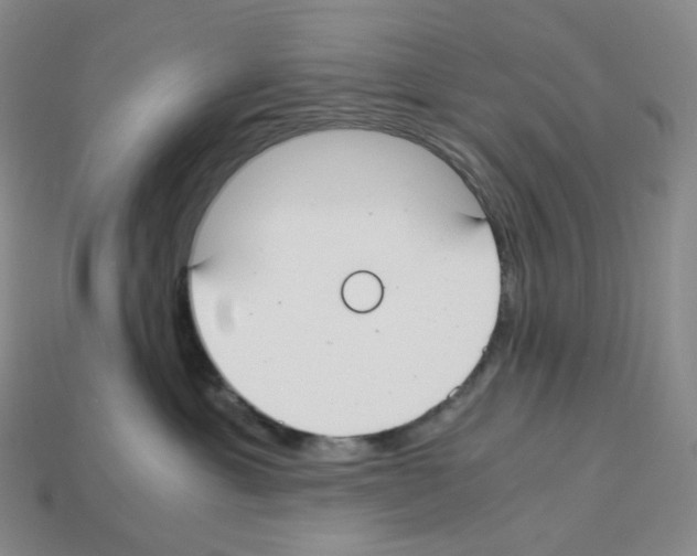 X0000112900429200910021438