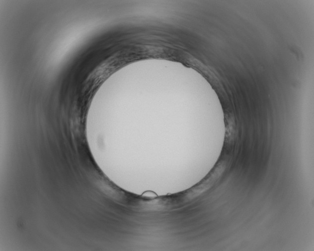X0000112900430200910021438
