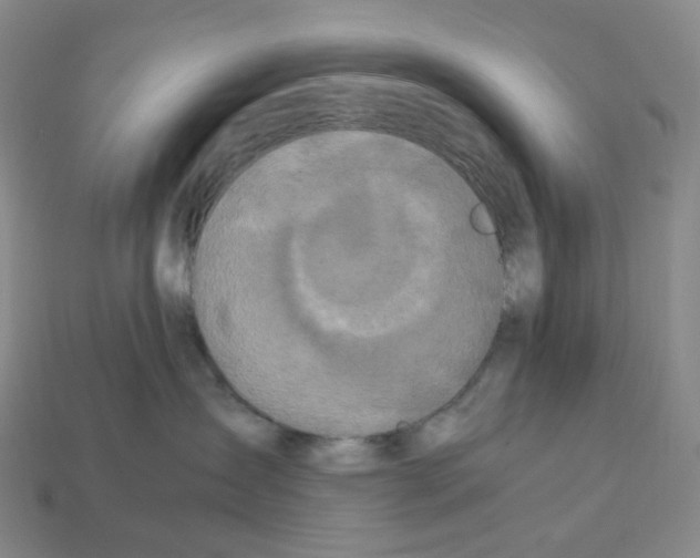 X0000112900431200910021438
