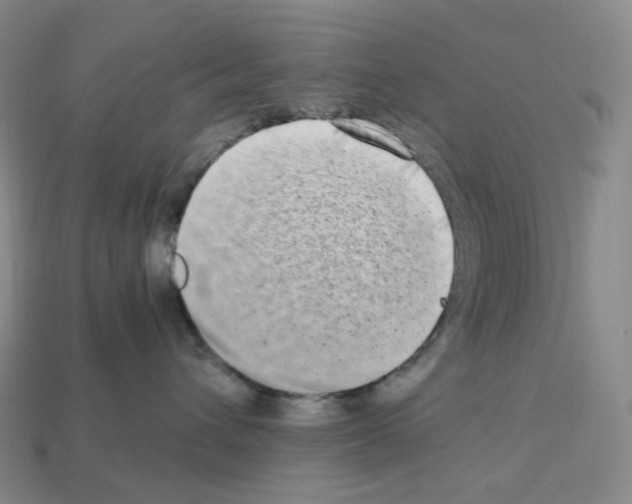 X0000112900432200910021438