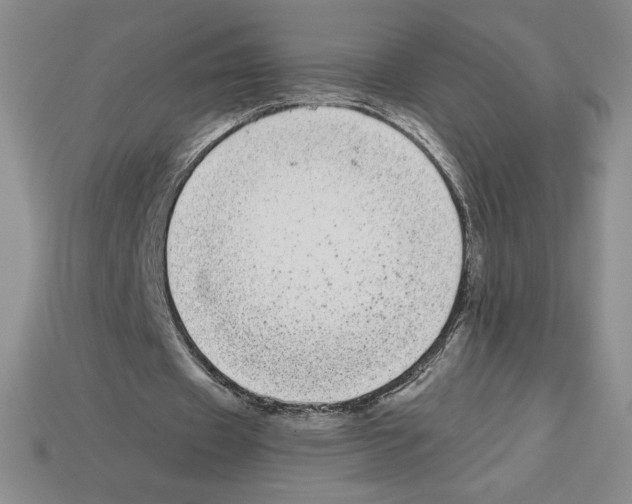 X0000112900433200910021438