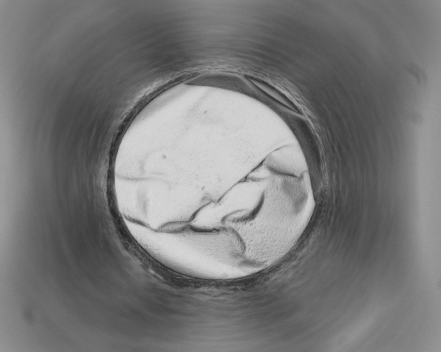 X0000112900434200910021438