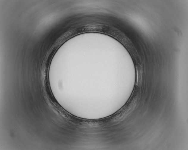 X0000112900435200910021438