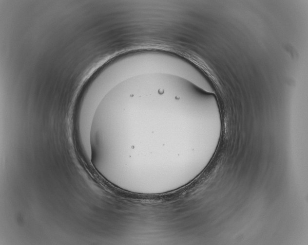 X0000112900436200910021438