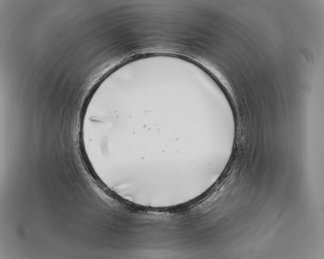 X0000112900437200910021438