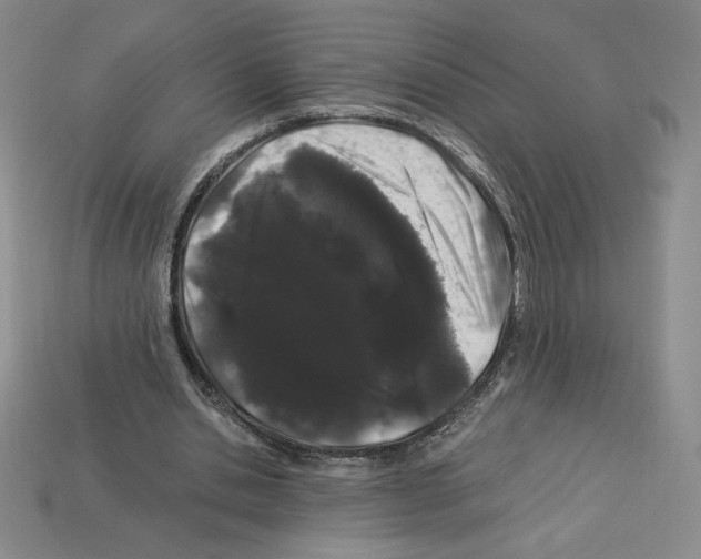X0000112900438200910021438