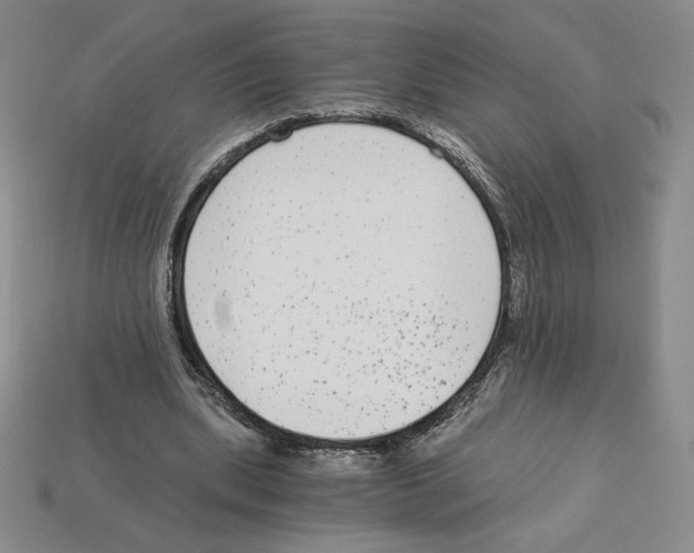 X0000112900439200910021438