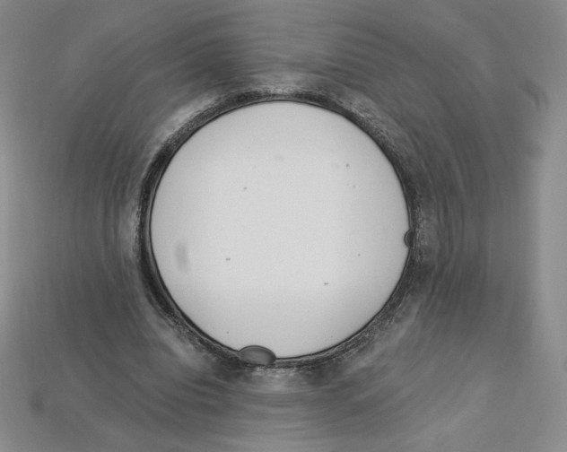 X0000112900440200910021438