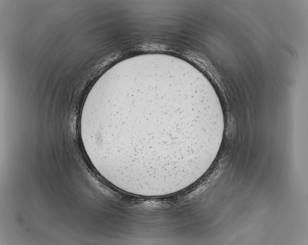 X0000112900441200910021438