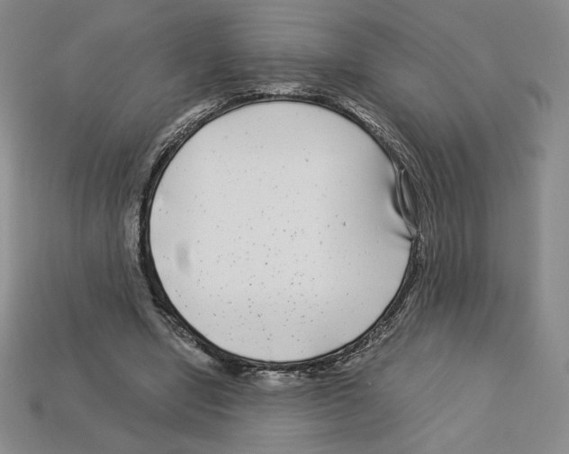 X0000112900442200910021438