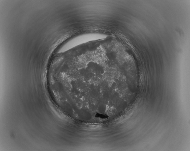 X0000112900443200910021438