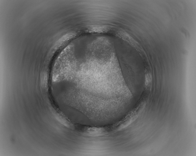 X0000112900444200910021438